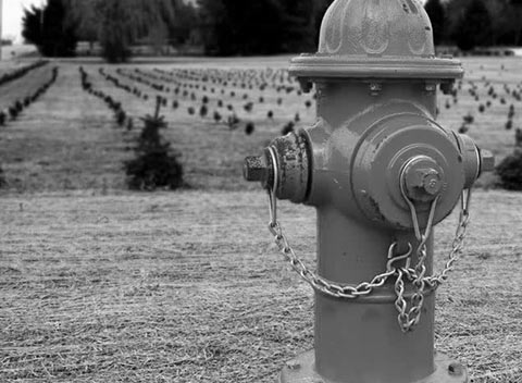 ddos流量攻击购买